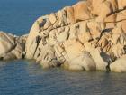 thumbs-pp/img_0017.jpg.jpg