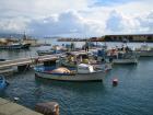 thumbs-salerno/IMG_0085.jpg.jpg