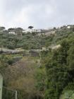 thumbs-salerno/IMG_0092.jpg.jpg