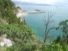 thumbs-salerno/dscn0844.jpg.jpg