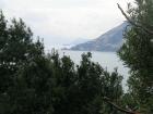 thumbs-salerno/dscn0854.jpg.jpg