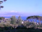 thumbs-salerno/dscn0881.jpg.jpg